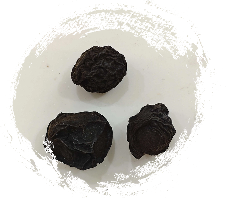 Plum chinois (Wūméi)