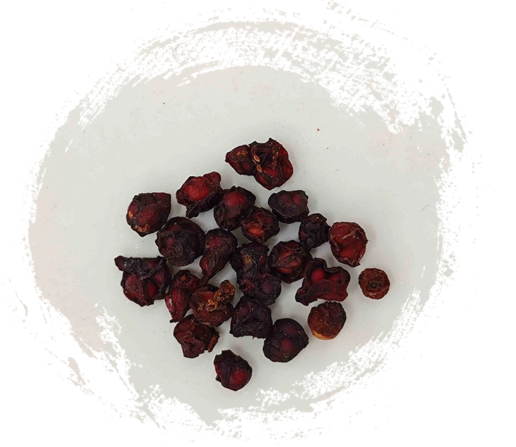 Fruit de Schisandra (Wǔwèizǐ):