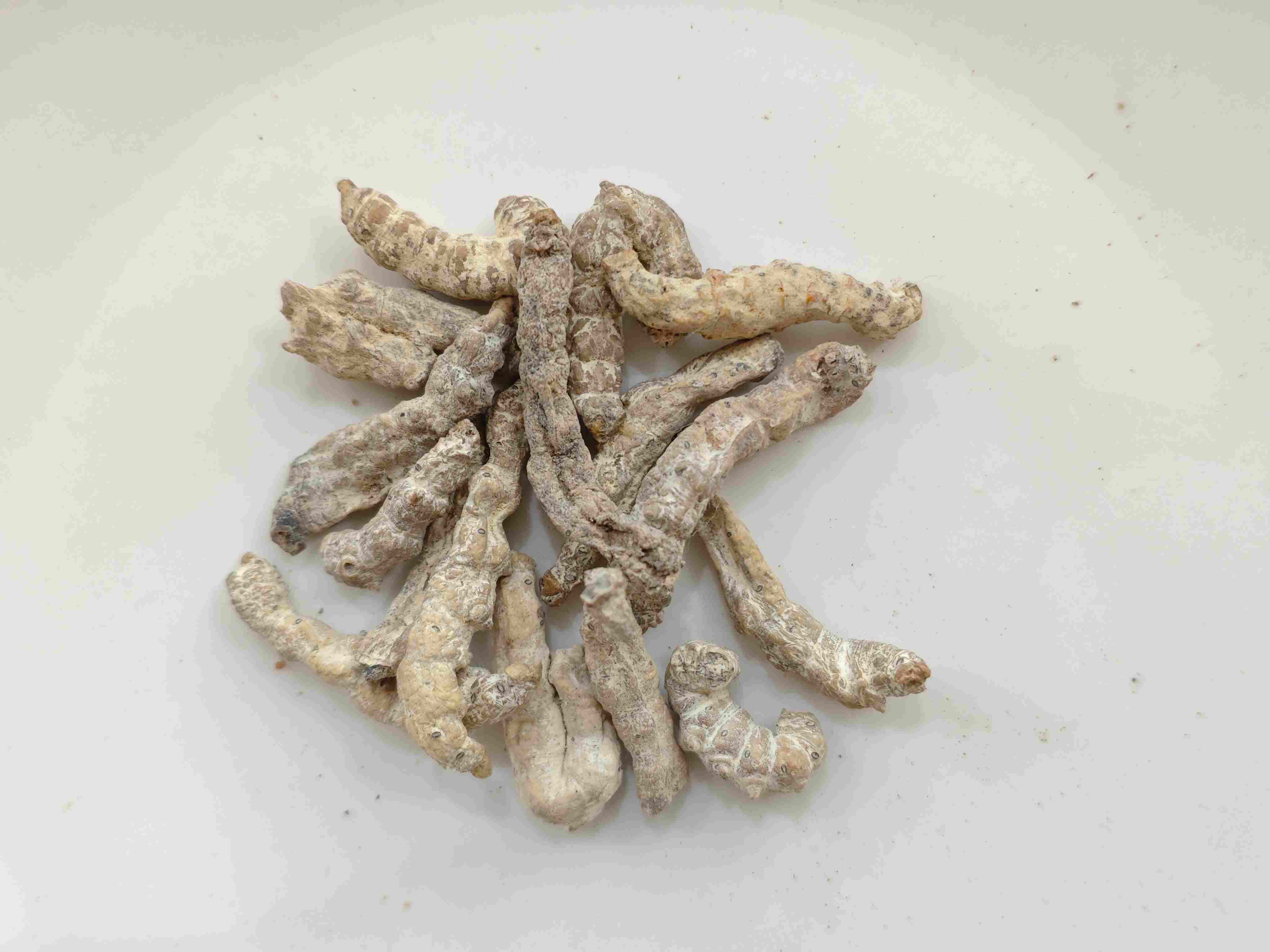 Ver à soie raide (jiāngcán)