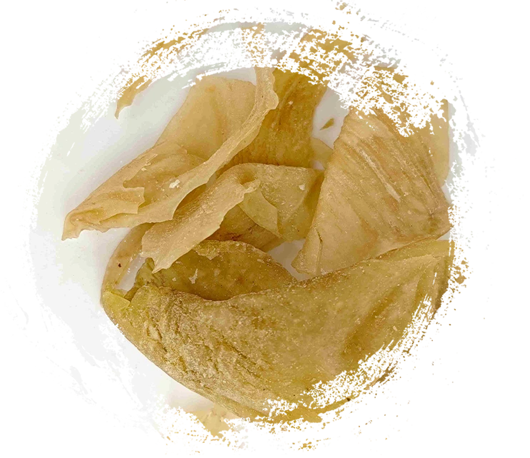 Caractéristiques principales de la médecine traditionnelle chinoise animale&nbsp;: fonctions, énergie et propriétés uniques