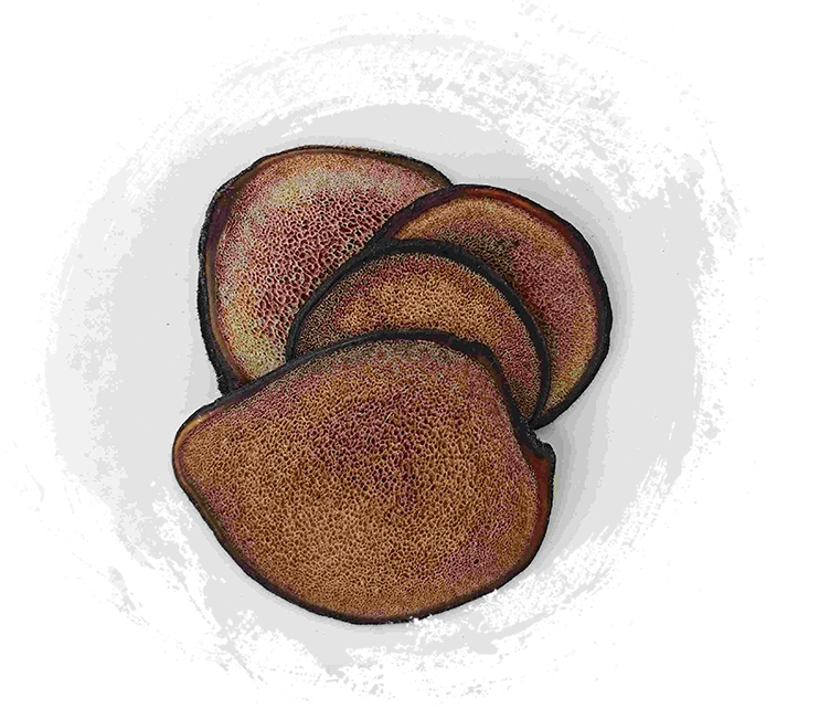 Tranche de bois de cerf (lùróng piàn)