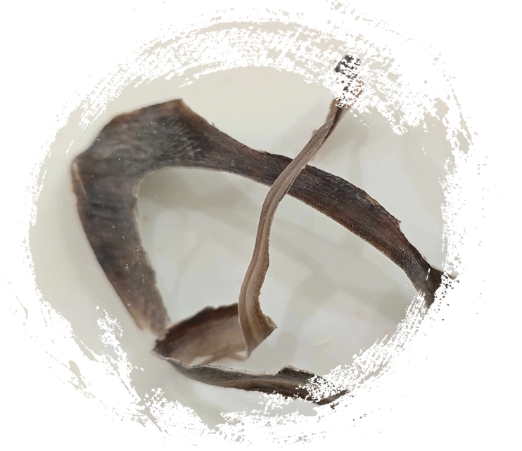 Corne de buffle d'eau (shuǐniújiǎo)