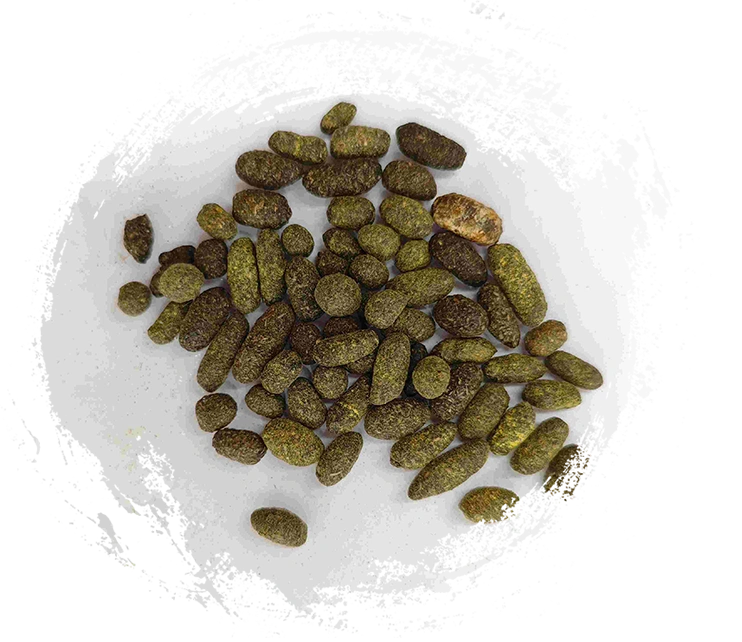 Résine d'arbre de laque (wǔlíngzhī)