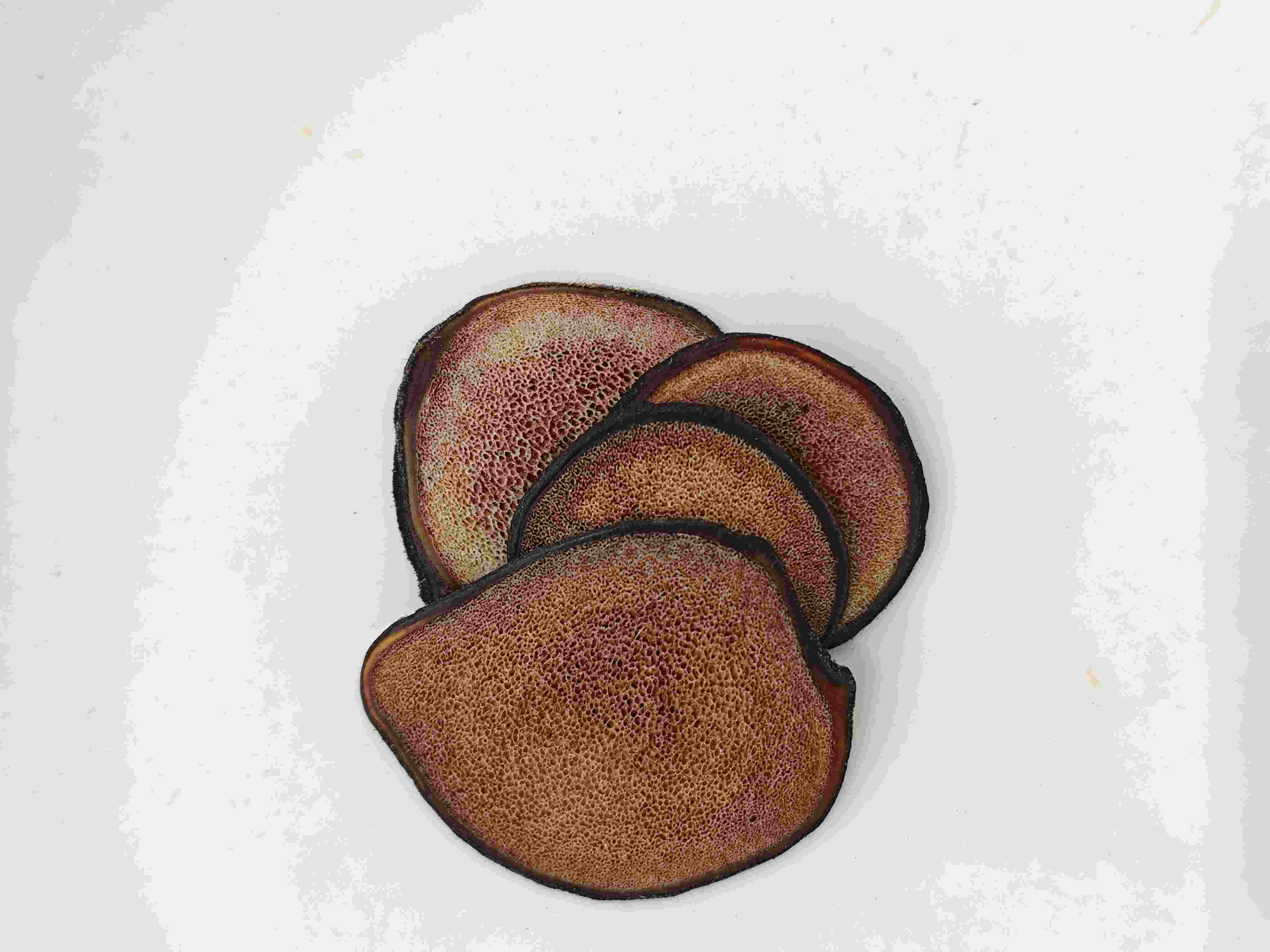 Tranche de bois de cerf (lùróng piàn)