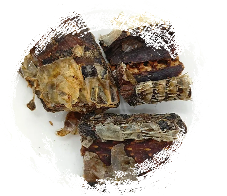 Serpent noir-zigzag vitico