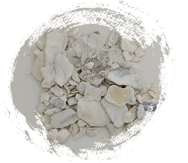 Shell d'huîtres (mǔlì)