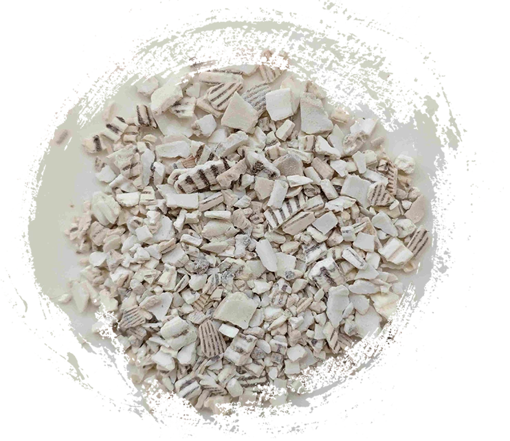 Coquille de carreaux de chaume (wǎléngzǐ)