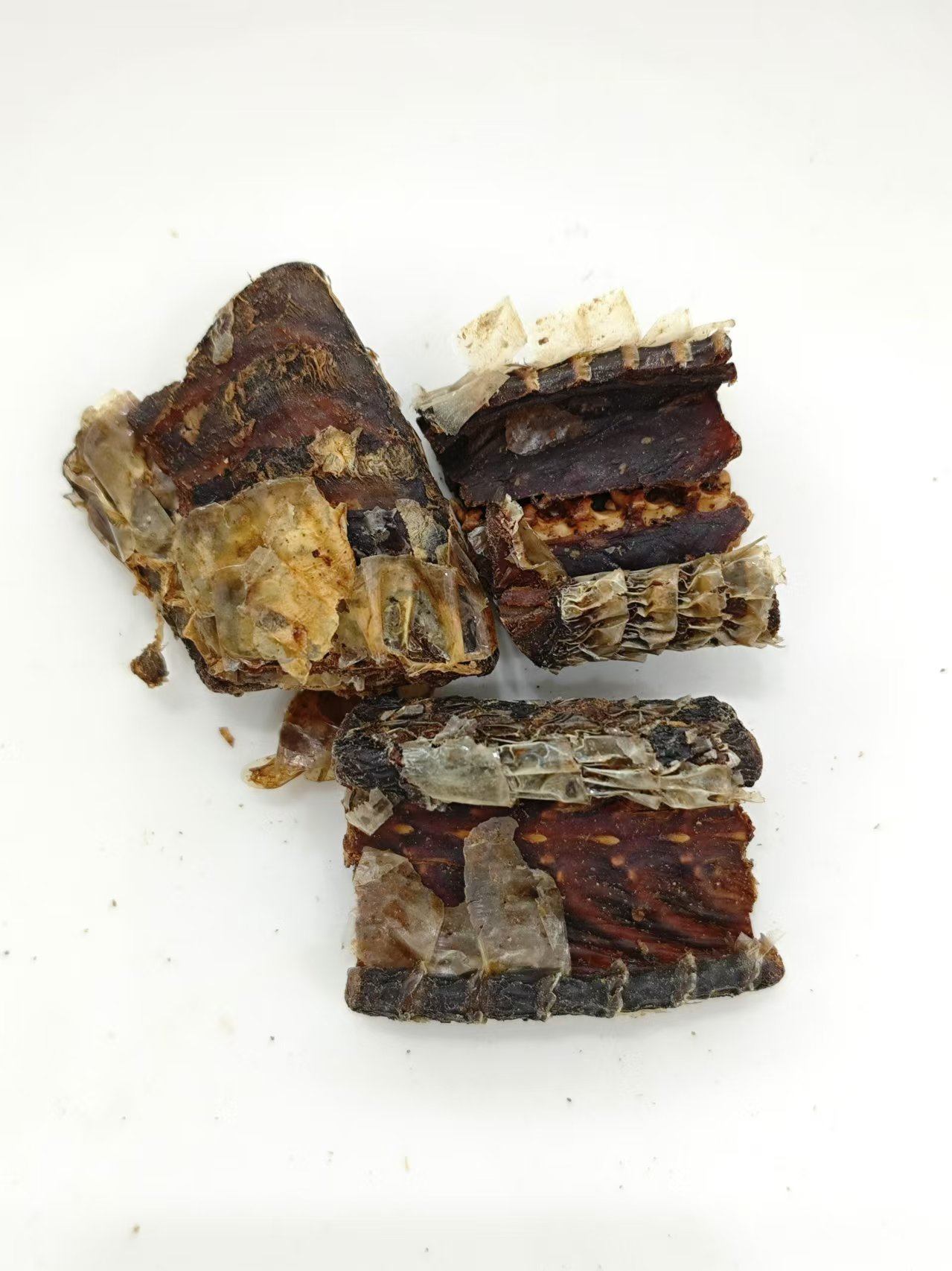 Serpent noir-zigzag vitico