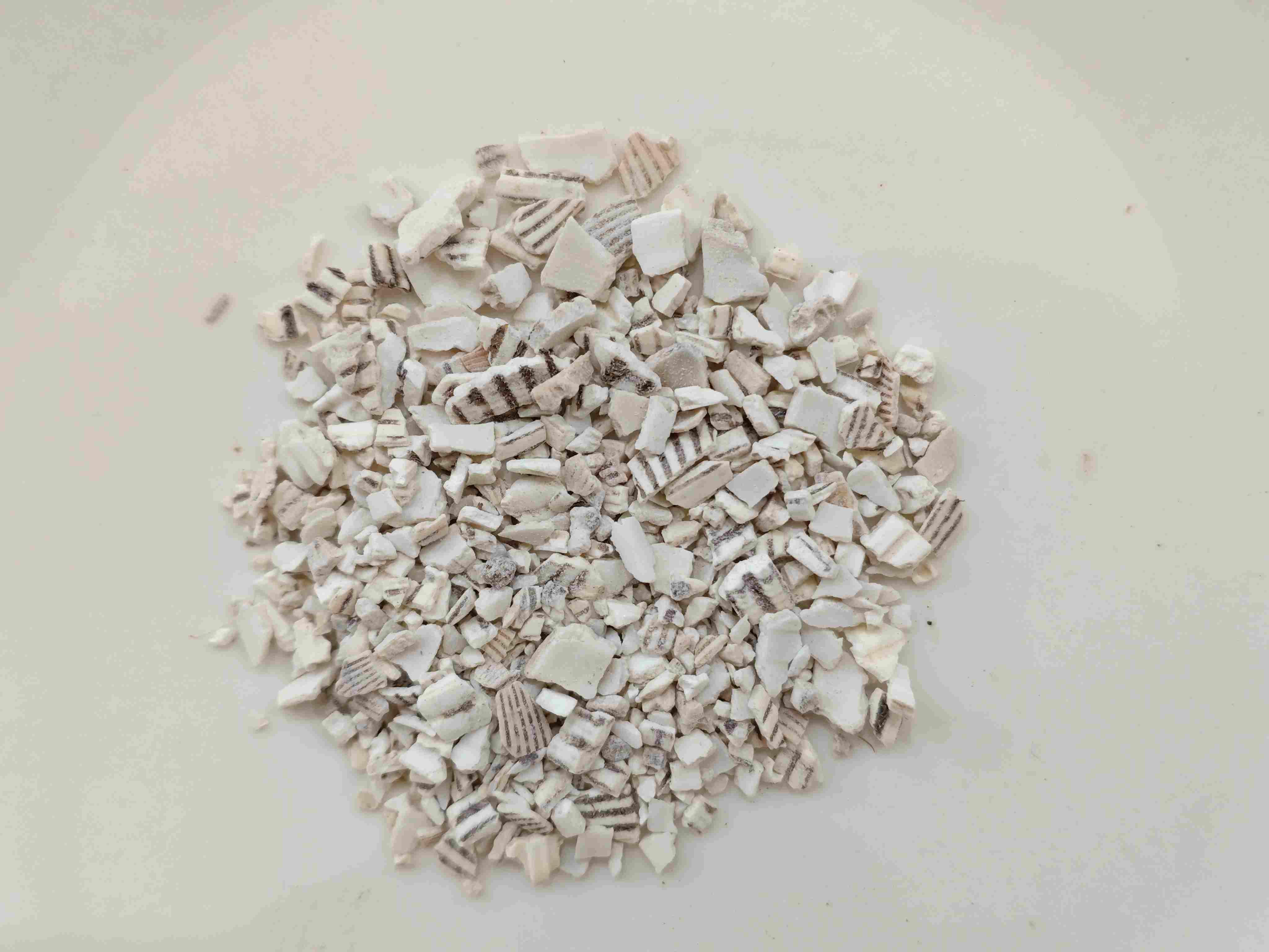 Coquille de carreaux de chaume (wǎléngzǐ)