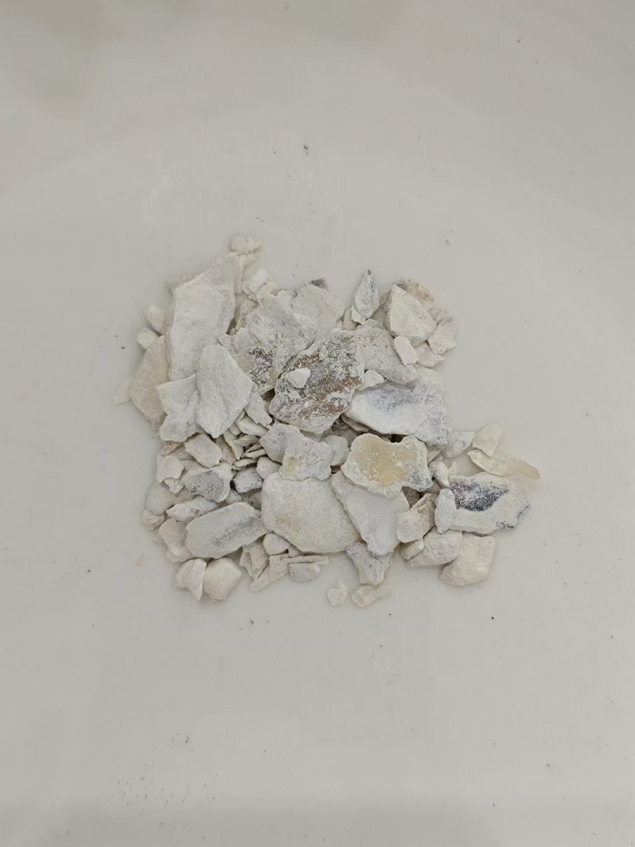 Shell d'huîtres (mǔlì)