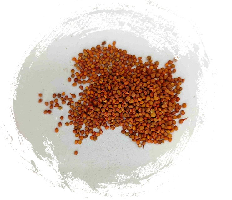 Quelles caractéristiques rechercher dans un médicament minéral traditionnel chinois de haute qualité&nbsp;?