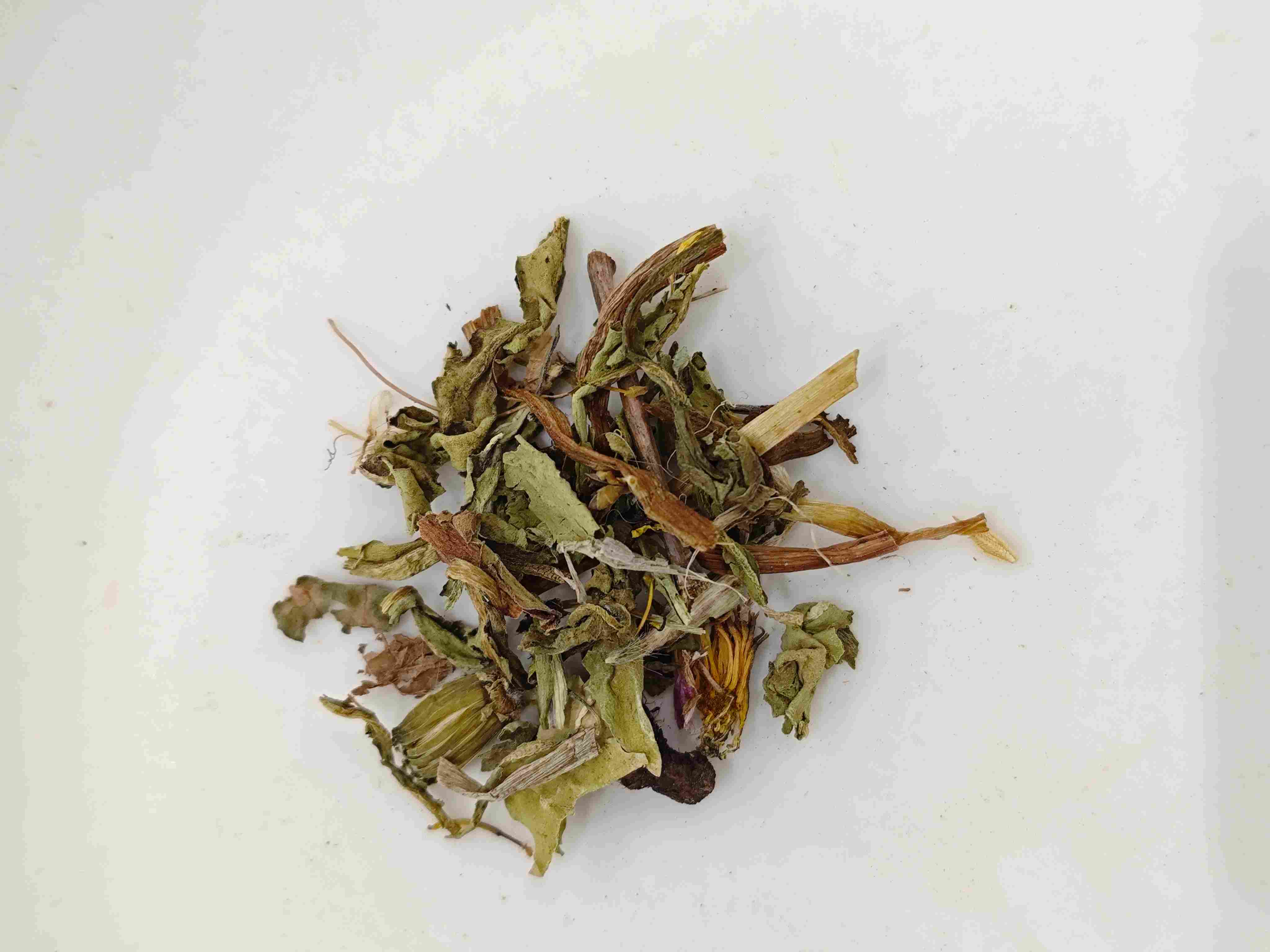 Pissenlit (púgōngyīng)