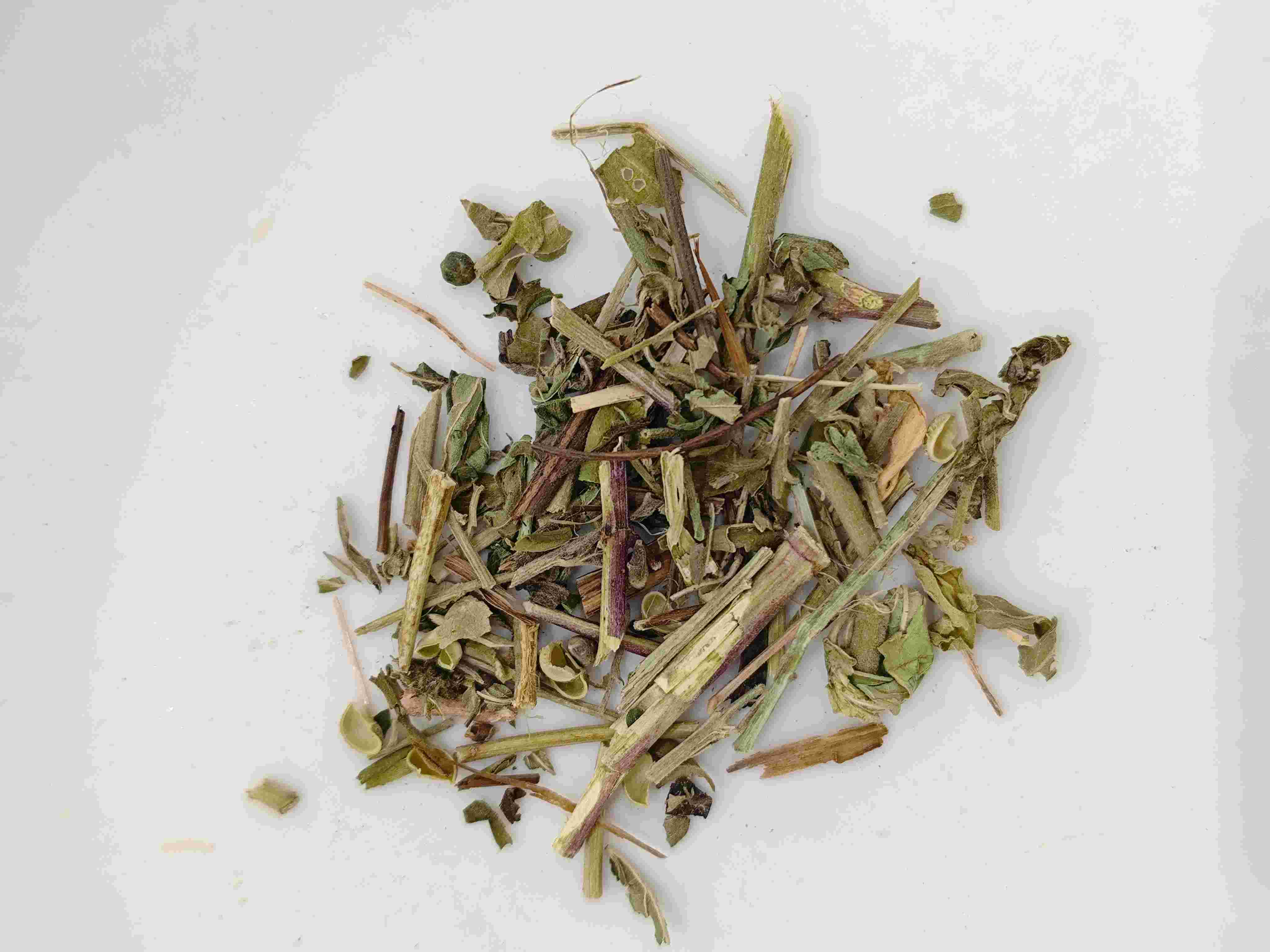 Herba serratulae (tòugǔ cǎo)