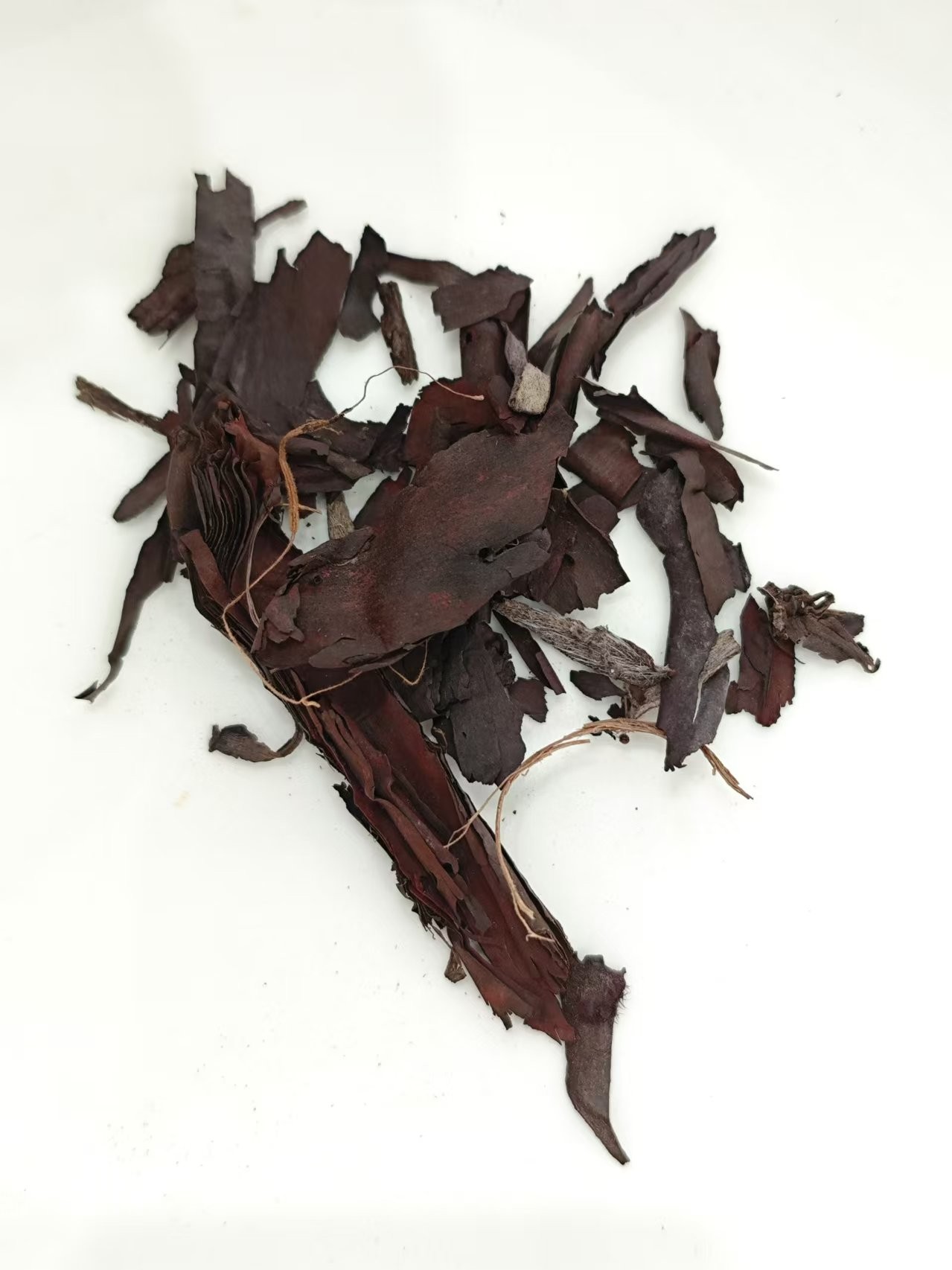 Lithospermum (zǐcǎo)