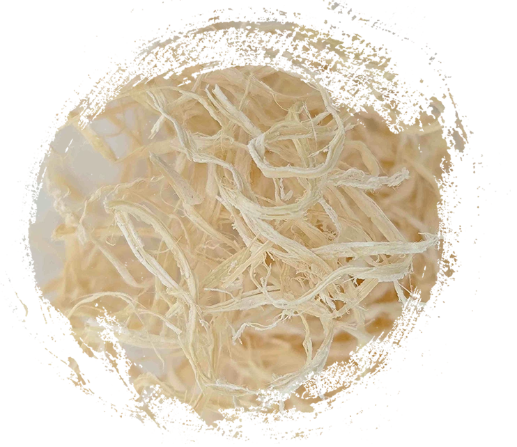 Bamboo Pith (Zhú Rú)