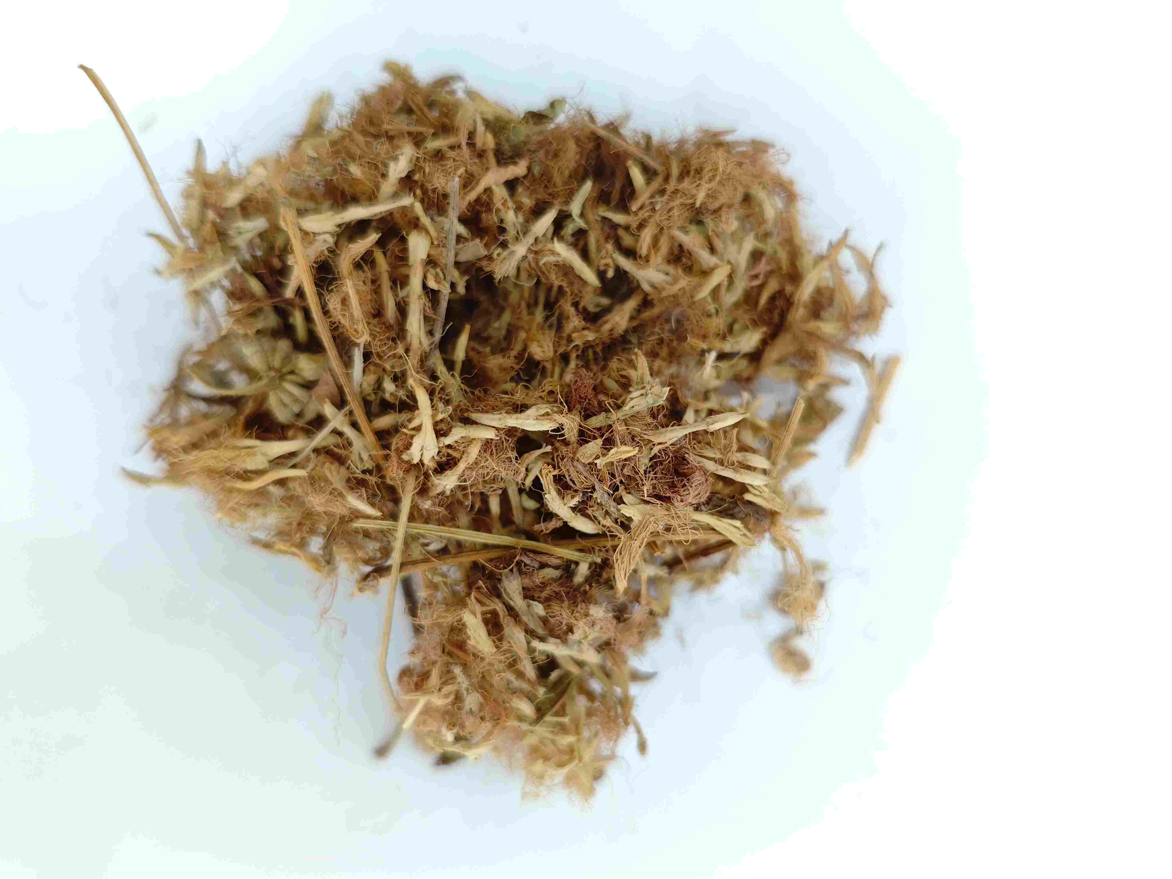 Fleur de la soie (Héhuān Huā)