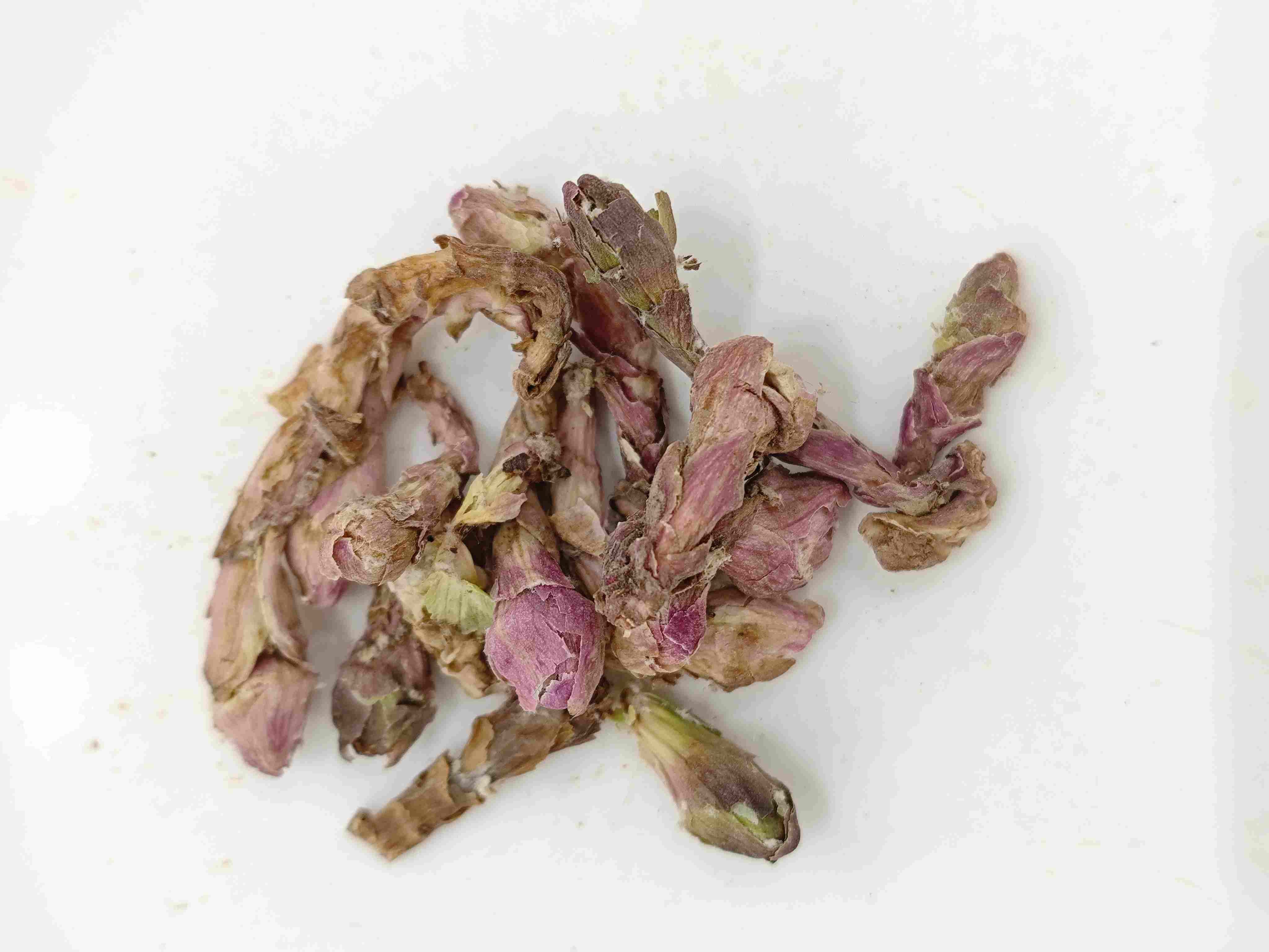 Fleur d'hiverhelmet (kuǎndōng huā)