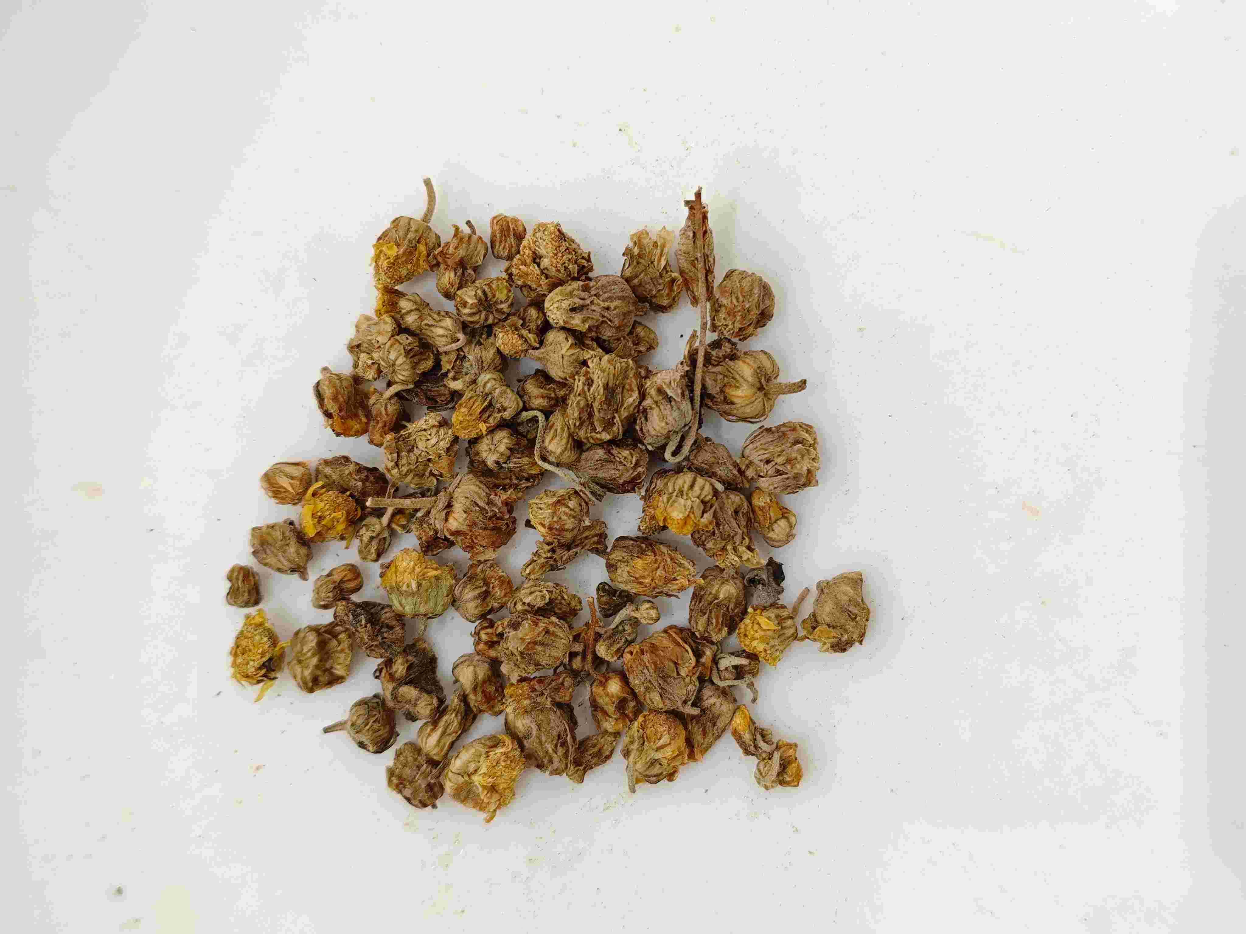 Chrysanthemum sauvage (Yě Jú Huā)