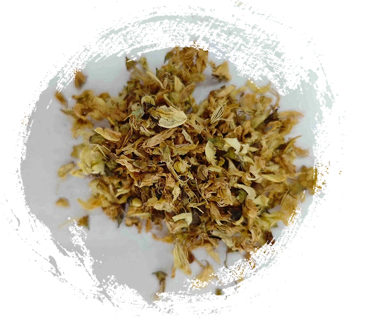 Sophora Flower (Huái Huā)