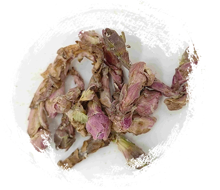 Fleur d'hiverhelmet (kuǎndōng huā)