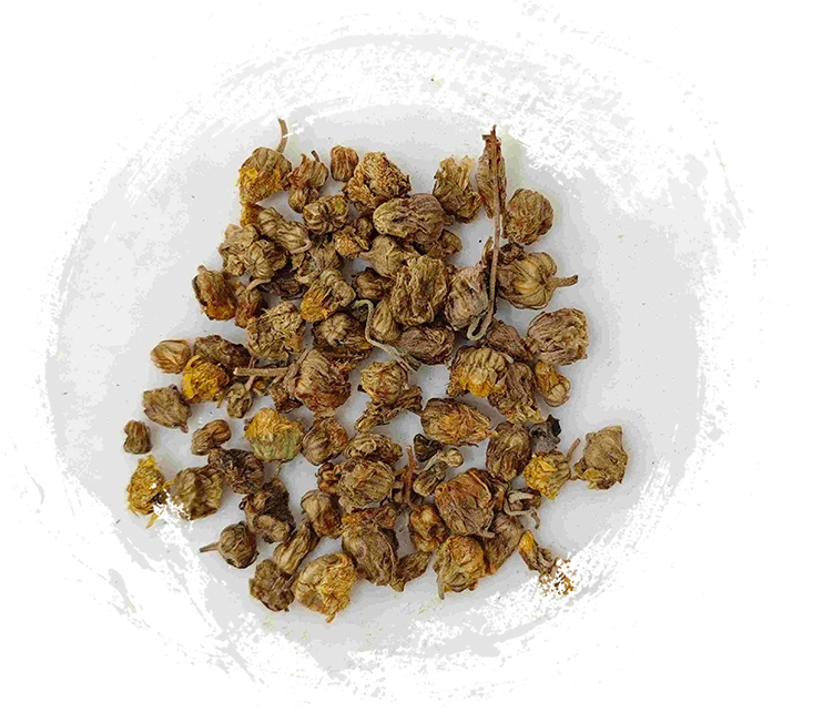 Chrysanthemum sauvage (Yě Jú Huā)