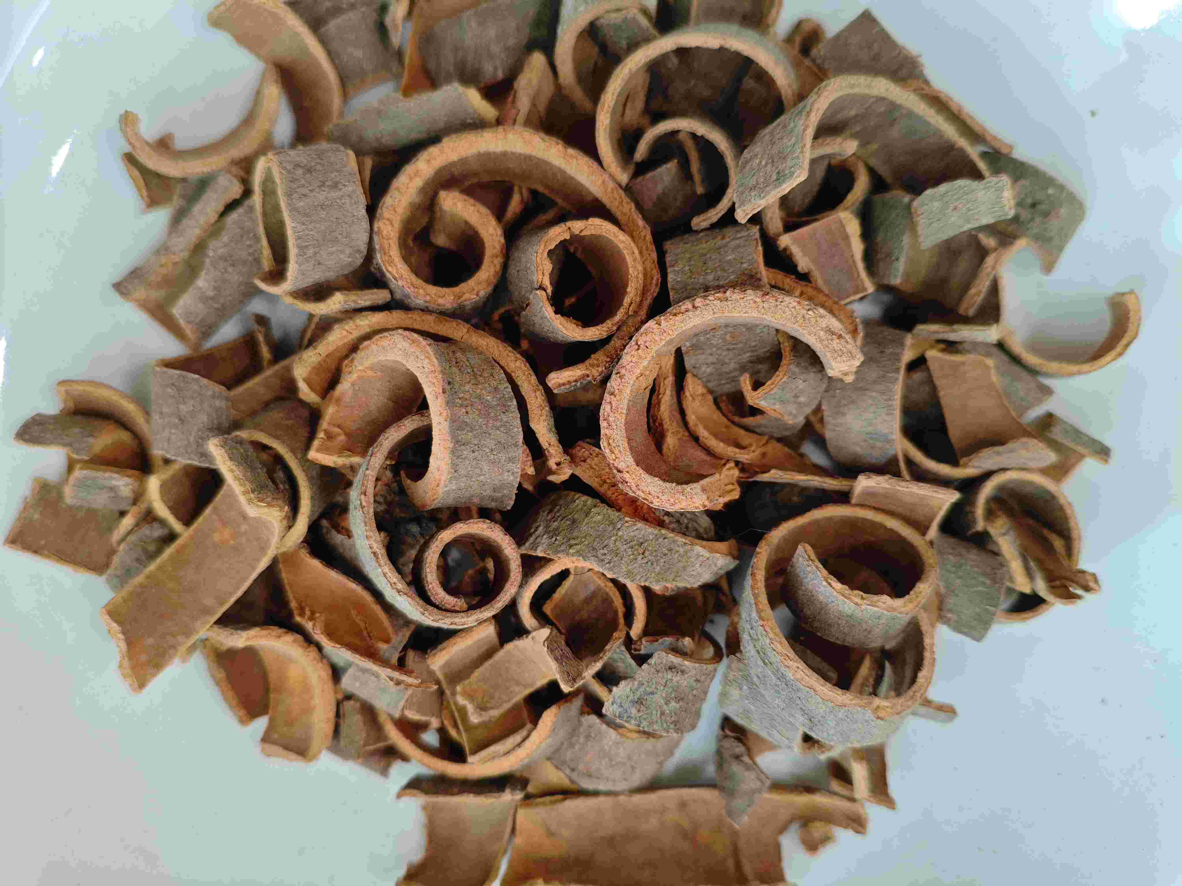 Écorce de cannelle (Ròuguì)