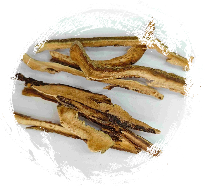 Pelon rouge mandarine (Júhóng)