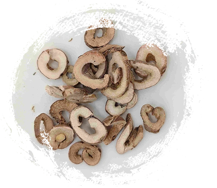 Écorce de pivoine d'arbre (mǔdān pí)