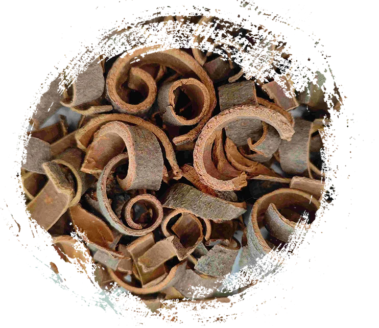 Principales propriétés curatives et caractéristiques des plantes médicinales de la médecine traditionnelle chinoise