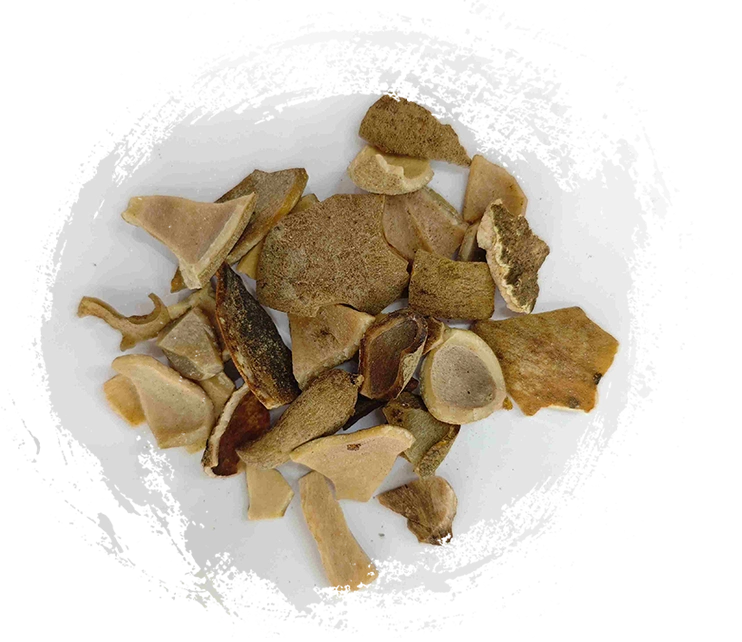 Les 7 principaux bienfaits du ginseng chinois (Wu Bei Zi) pour la santé