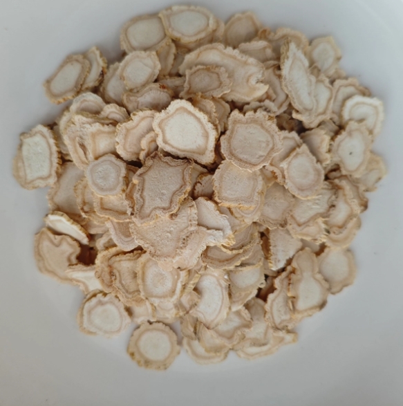 Panax Ginseng en médecine traditionnelle chinoise&nbsp;: caractéristiques clés et utilisations traditionnelles